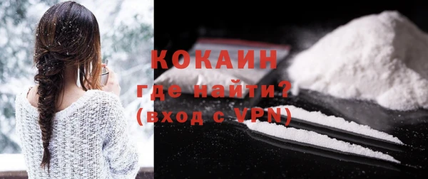 мдпв Богородицк