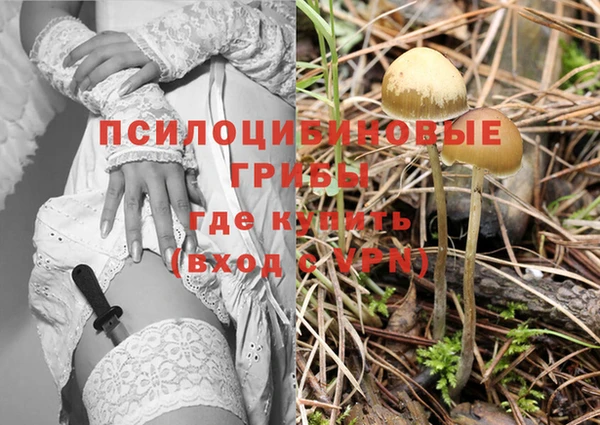 мяу мяу мука Бугульма